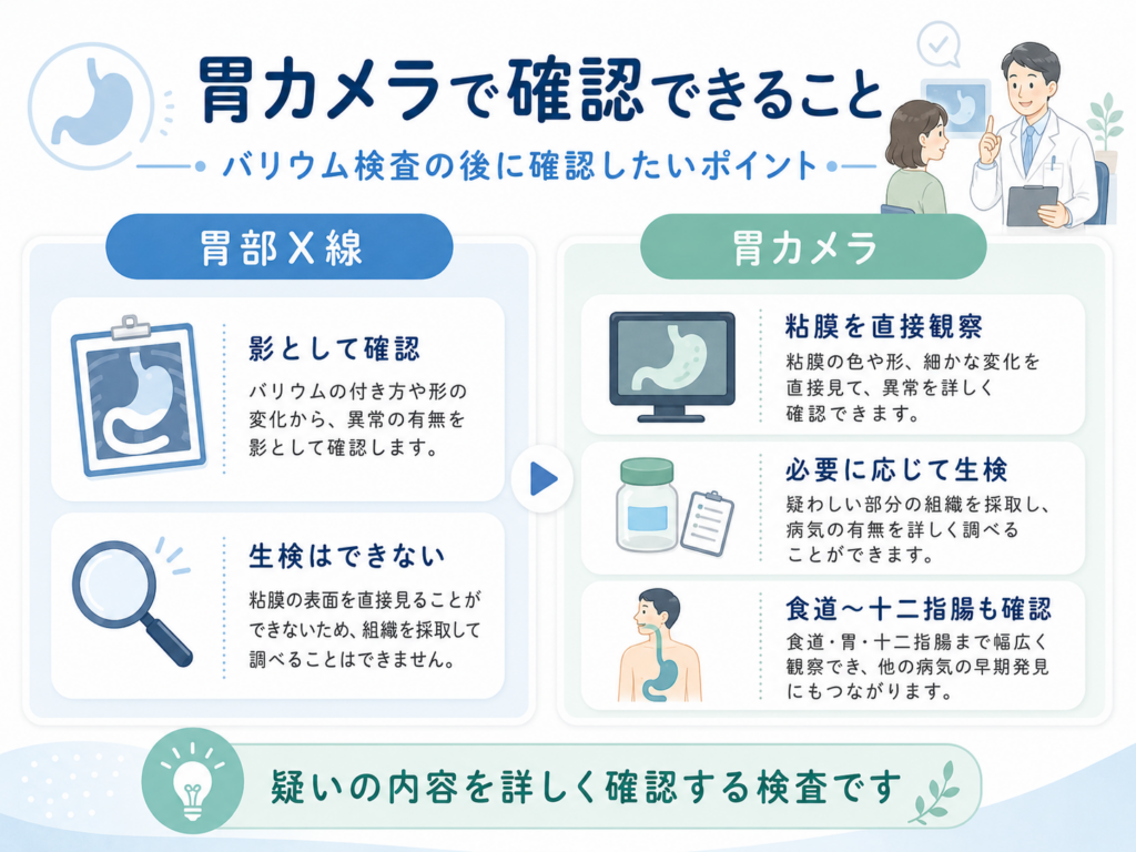 胃部X線検査と胃カメラで確認できる内容の違いを比較した図