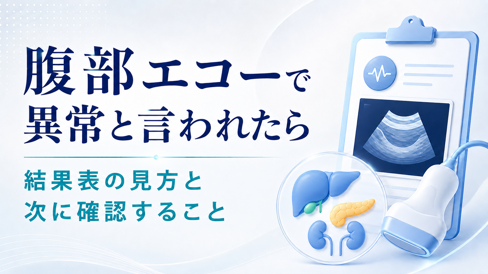 腹部エコーについて、結果を見たときに次の確認につなげるための画像です。