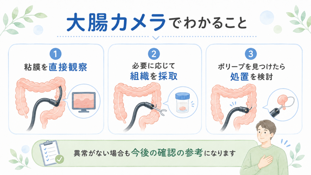 大腸カメラで粘膜観察、組織採取、ポリープ処置を検討する流れを示した図
